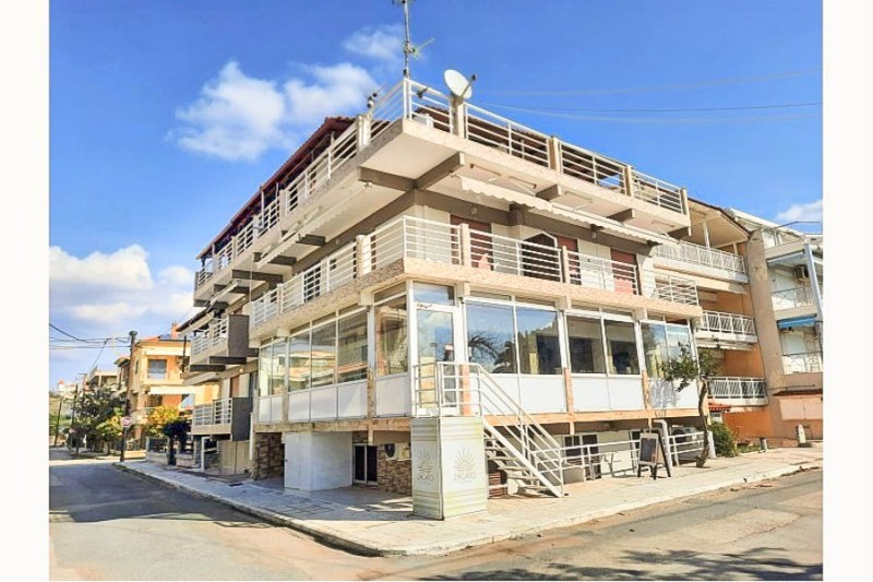 Vila Hrisa-Hellena travel (1)