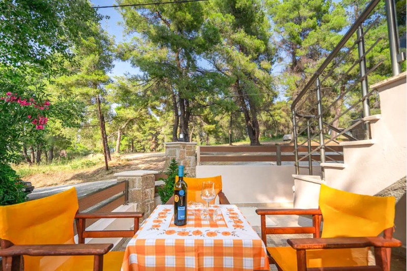 Vila Hrisa-Hellena travel (2)